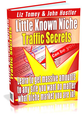 Product picture Little Known Niche Traffic Secrets